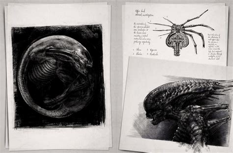 alien covenant david's drawings